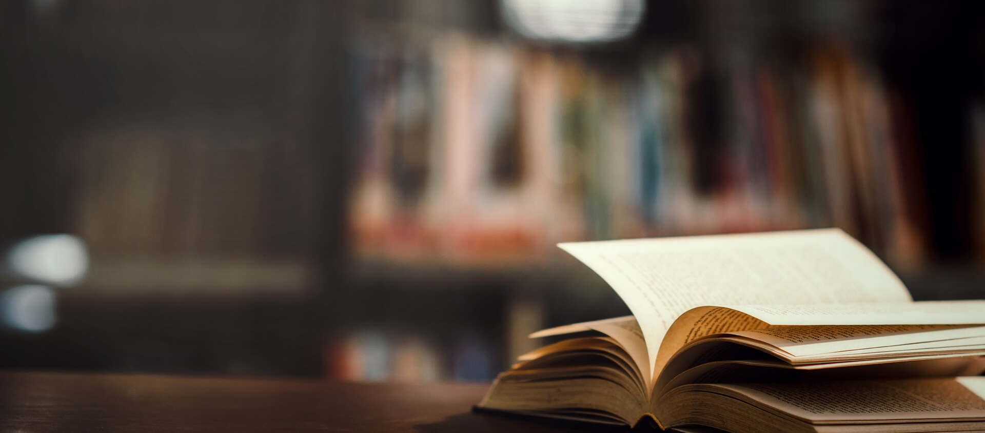 Professional Consultancy for your Questions and Cases concerning Turkish Law